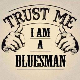 I'm A Bluesman - Joe Funktastic
