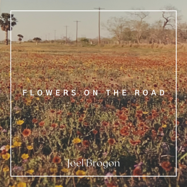 Flowers on the Road