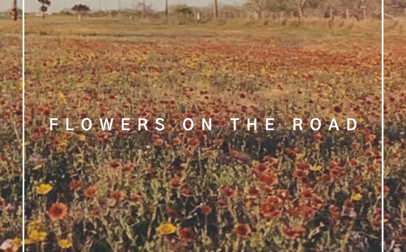 Flowers on the Road