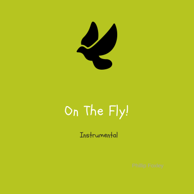 On The Fly (Instrumental)