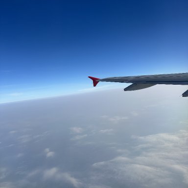 Don’t Fly Away