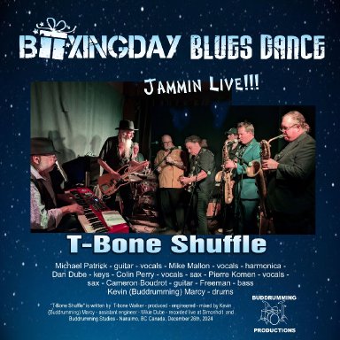 T-Bone Shuffle - Boxing Day Dance Band