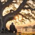 Old Oak Tree  rated a 5