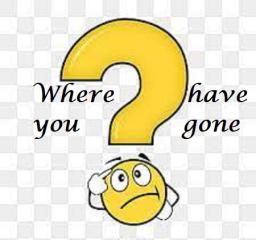 WHERE HAVE YOU GONE?