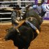 Bopbby G Moore & O.C.R.Boys = He A Cowboy rated a 5