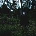 Someone You Are Not (feat. Che Paxin) rated a 5