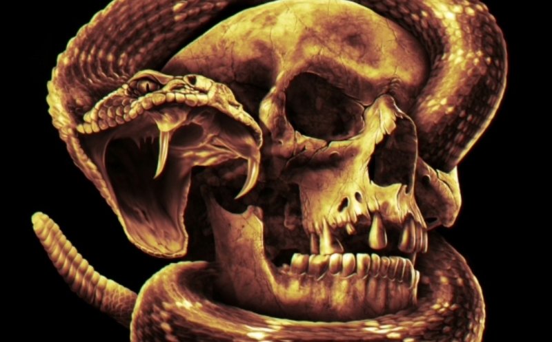 Rattlesnake