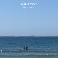 Don't Wait