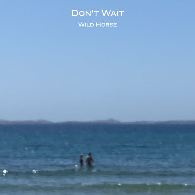 Don't Wait