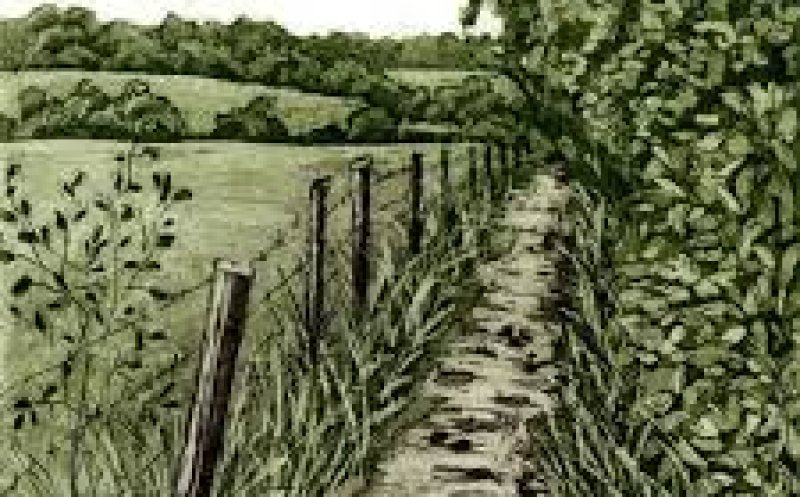 Been Away For A While Now