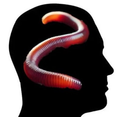 The Worm in my Brain