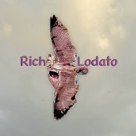 lose to win /remaster 2025