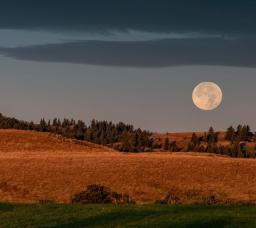 Harvest Moon