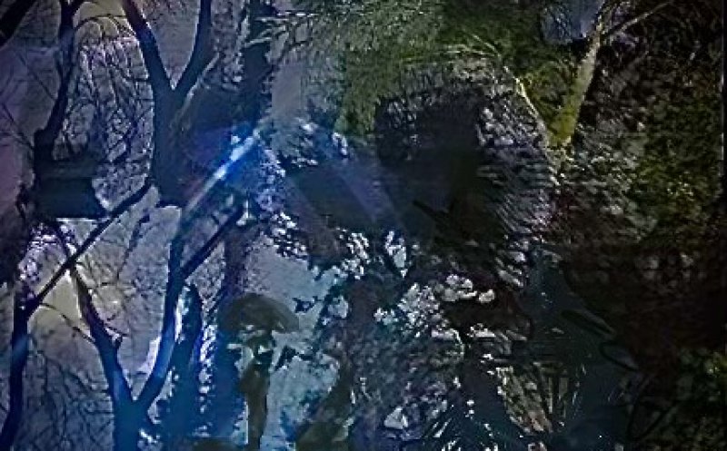 Lonely Rainy Night Ft-Cooter Ford