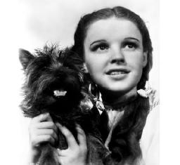 "There's No Place Like Home" (a Tribute to Dorothy)