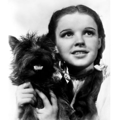 "There's No Place Like Home" (a Tribute to Dorothy)