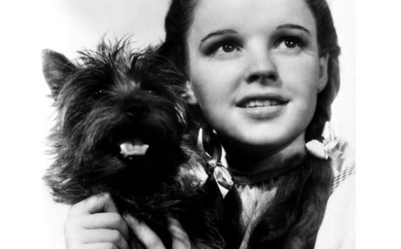 "THERE'S NO PLACE LIKE HOME" (a Tribute to Dorothy)