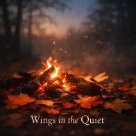 Wings in the Quiet