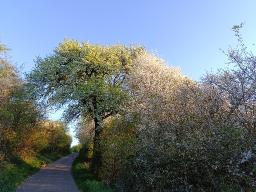 I don't need to look for enemies