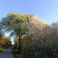 I don't need to look for enemies