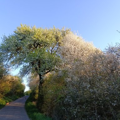 I don't need to look for enemies