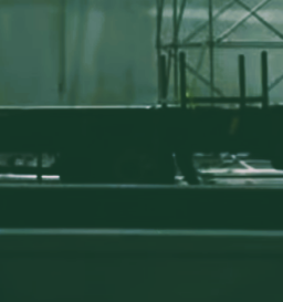 Wild Intro