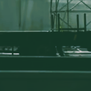 Wild Intro