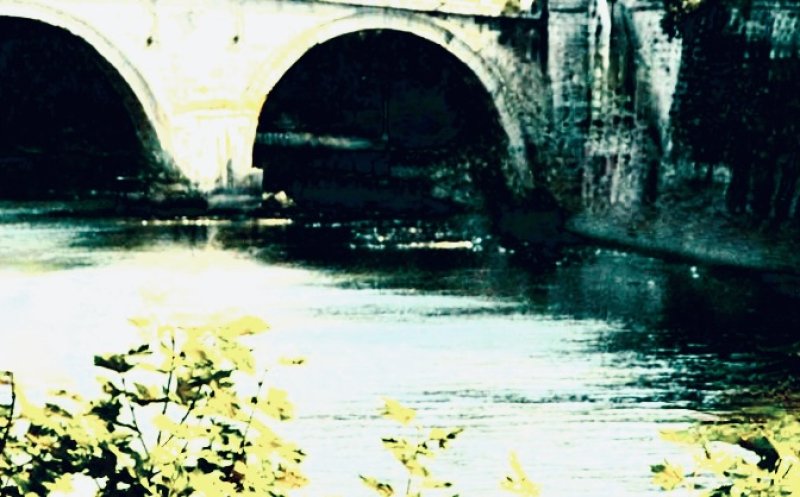 the river