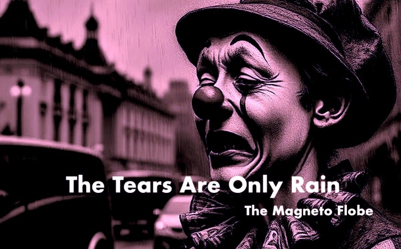 Tears Are Only Rain (feat. The Magneto Flobe)