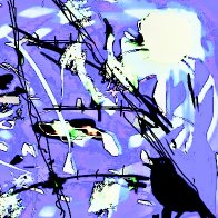 The Birds