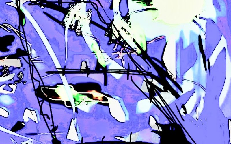 The Birds