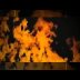 Bed of Fire rated a 5