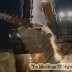 the machines at night rated a 5