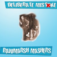 DELIBERATE MISTAKE ALBUM SAMPLER