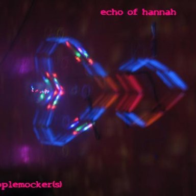 echo of hannah