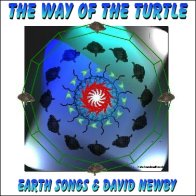 The Way of the Turtle