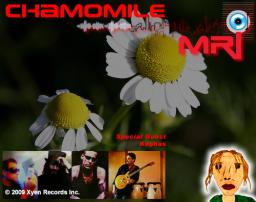 Chamomile