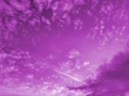 Purple Sky