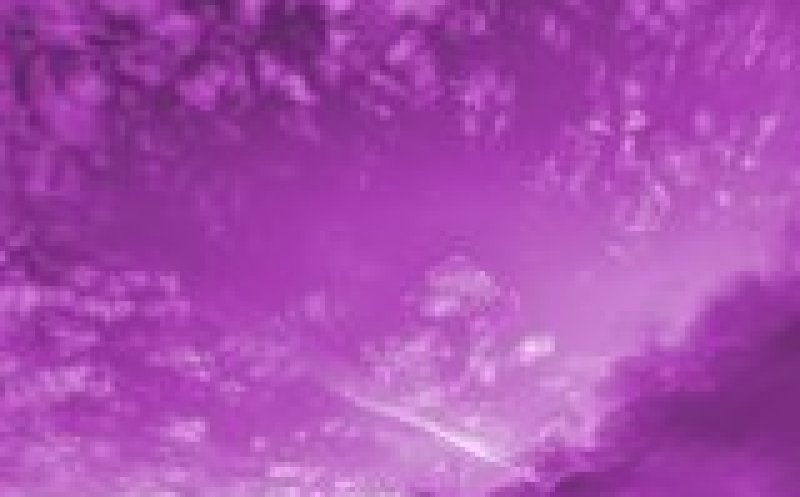 Purple Sky