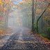 Misty Rain rated a 5