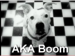 AKA Boom