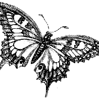 Transformed By Love