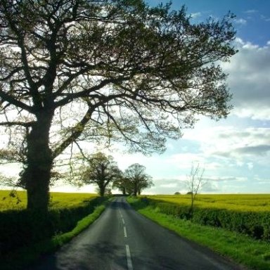 Road To Knowhere