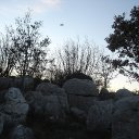 The Sacred Pattern (Col de Vence)