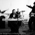 New Songs for download