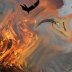 'InGadaInferno' still rages on...