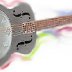 I bought a Hollow Steel dobro