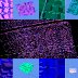 Mixposure browse