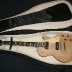 2009 TRIP TO THE USA, CENTRAL PARK CONCERT, 1956 LES PAUL