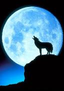 The "Wolf Moon"